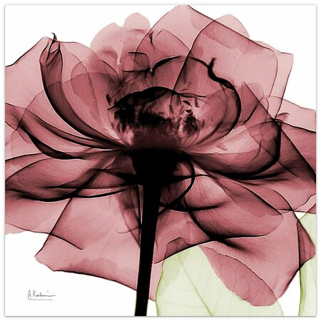 EMPIRE ART DIRECT Chianti Rose II Frameless Free Floating Tempered Glass Panel Graphic Wall Art TMP-AK360D2-2424